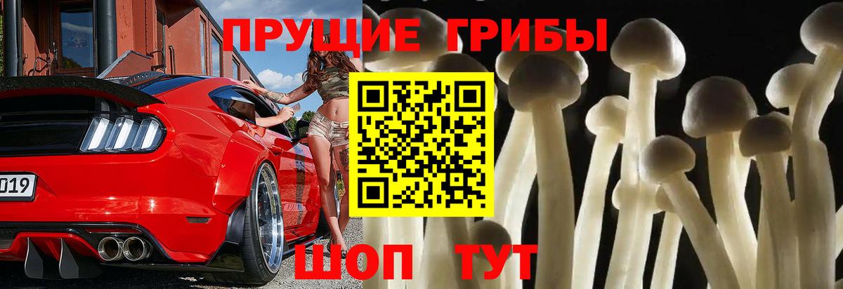 Волжский  Галлюциногенные грибы прущие грибы  Галлюциногенные грибы ЛСД  Вход с VPN 